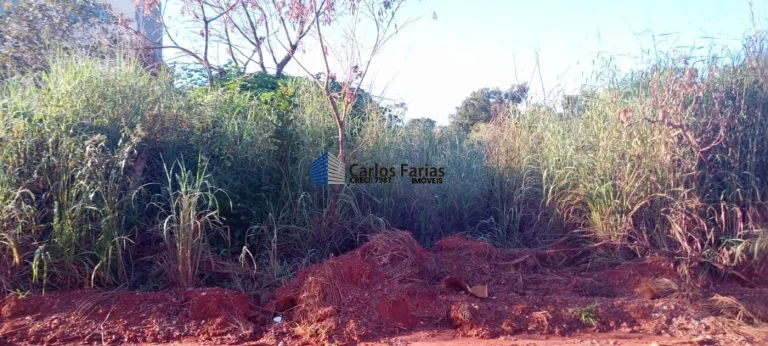 Imagem Terreno Comercial para Venda em Brasília, Setor Habitacional Jardim Botânico