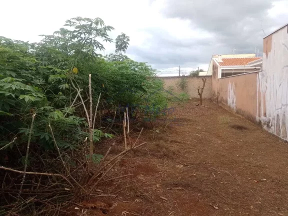 Imagem Terreno Padrão