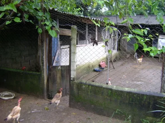 Imagem Chácara Atibaia 100% plana rio pertinho do asfalto!