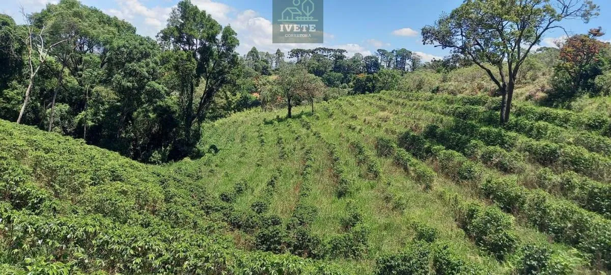 Imagem Terreno no Bairro da Lagoa - Oportunidade Única!