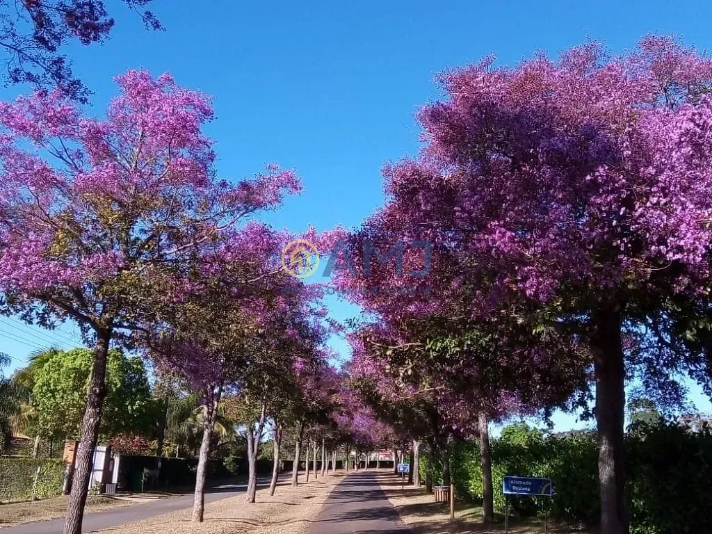 Imagem Viva a tranquilidade e o contato com a natureza no Condomínio Alto da Boa Vista!