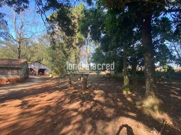 Imagem Chácara à venda Zona Rural, Serranópolis do Iguaçu - PR