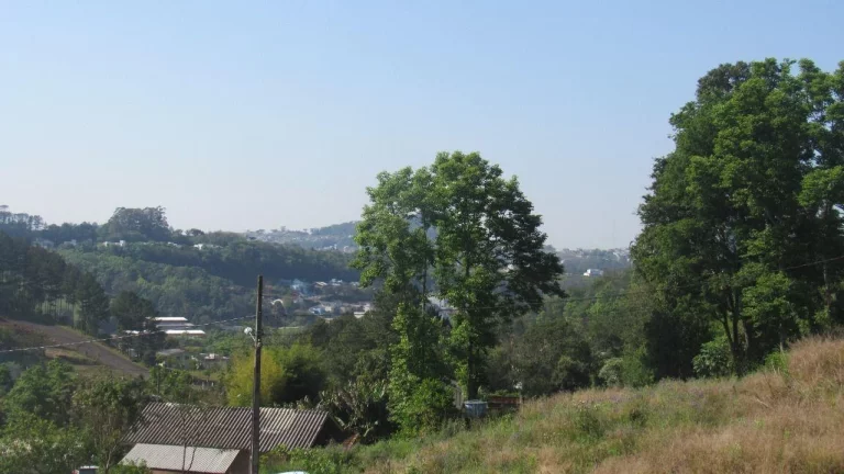 Imagem Terreno para Venda em Concórdia, Primavera