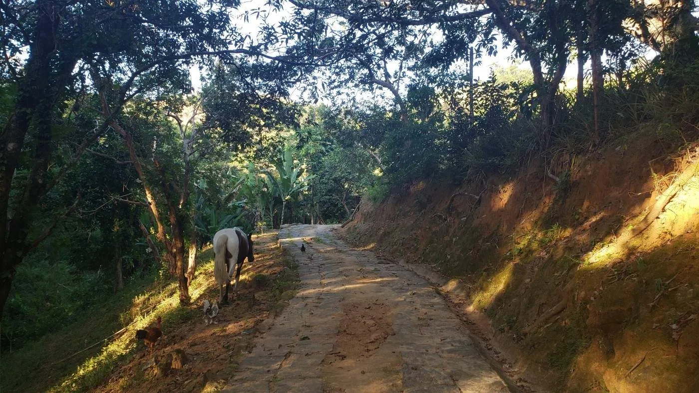 Imagem Sítio para Venda em Três Rios / RJ no bairro Bemposta