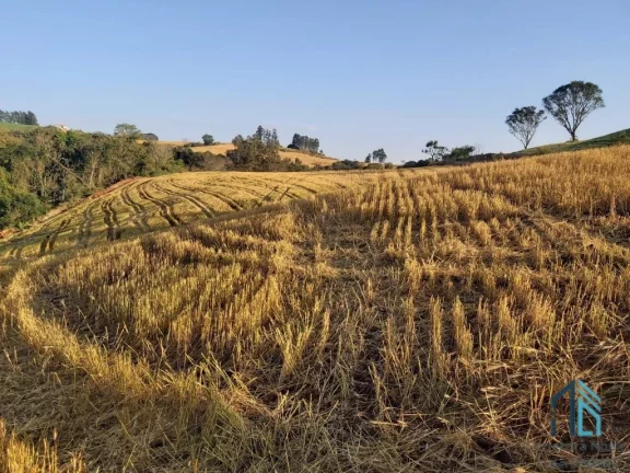 Imagem Sítio com 121.000 mil m² a venda, com Infra estrutura, no IRETEMA /Campo Mourão PR