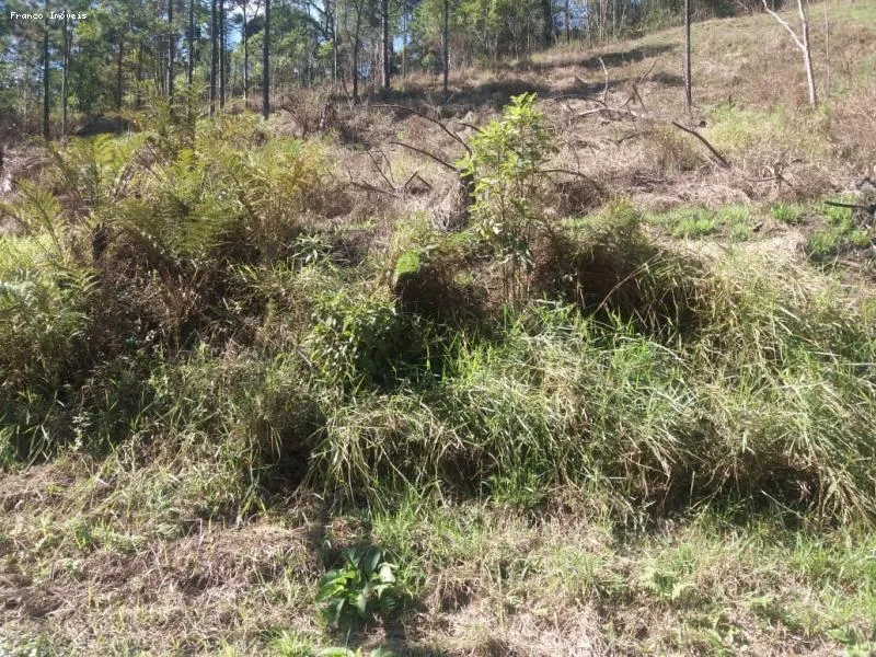 Imagem Área para Venda em Ribeirão Pires, Ouro Fino Paulista