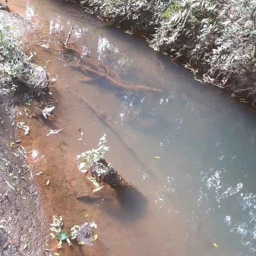 Imagem CHACARA RURAL em ANTÔNIO OLINTO - PR, Antonio Olinto
