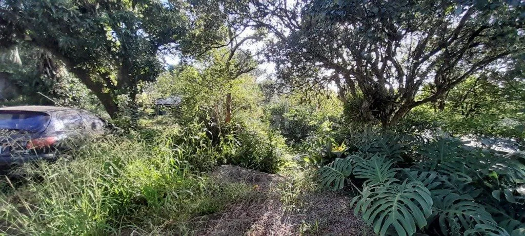 Imagem Terreno em Teresópolis