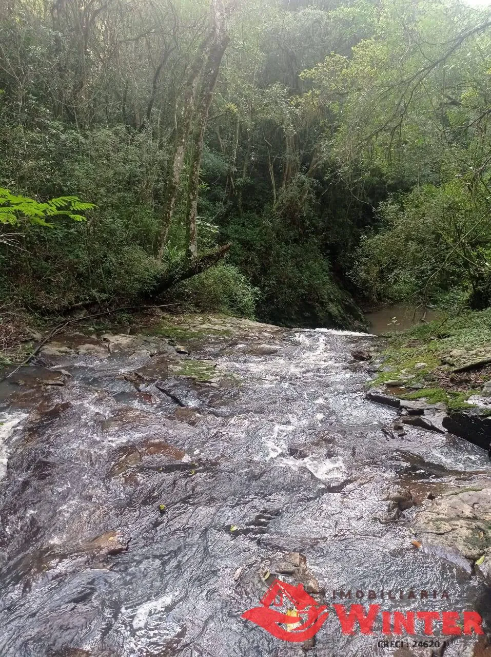 Imagem Área de terras com 56.494,00m², Presidente Lucena, RS.