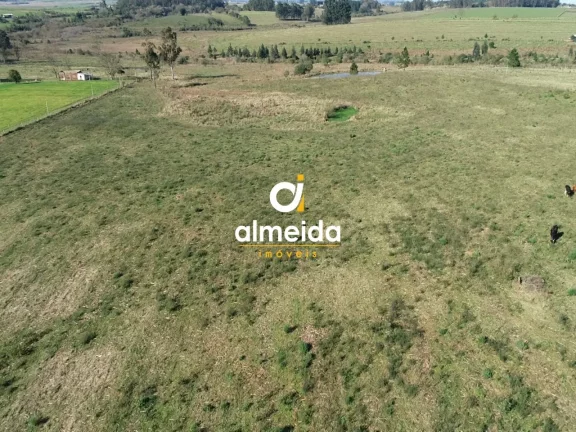 Imagem Campo à venda Zona rural Santa Maria/RS
