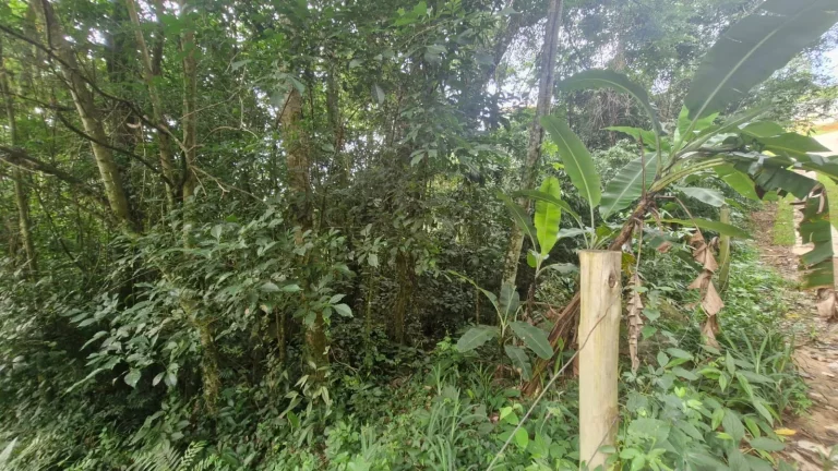 Imagem Oportunidade Única: Terreno à Venda no Bairro Macacu em Garopaba/SC! 1.639,00 m² de área. Confira já!