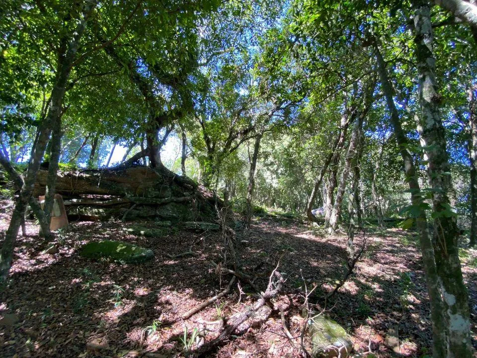 Imagem Chácara para venda , localizado em São João do Deserto, Lomba Grande em Novo Hamburgo/RS.
