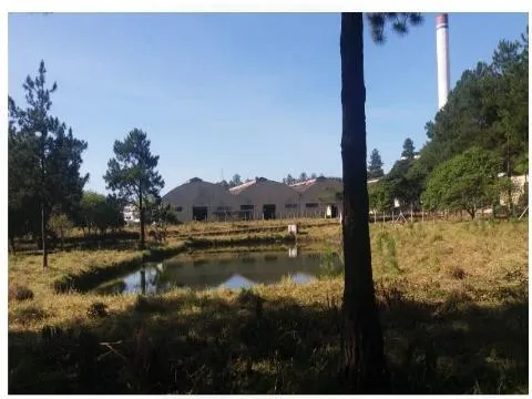 Imagem VENDA E LOCAÇÃO DE GALPÃO INDUSTRIAL/COMERCIAL ITAQUAQUECETUBA A/T 56.900m² A/C 9.000m² conjunto de galpões, docas- zupi I. COMPLEXO INDUSTRIAL