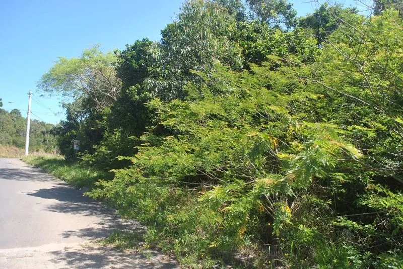 Imagem Terreno para Venda com 930m² no bairro Espírito Santo