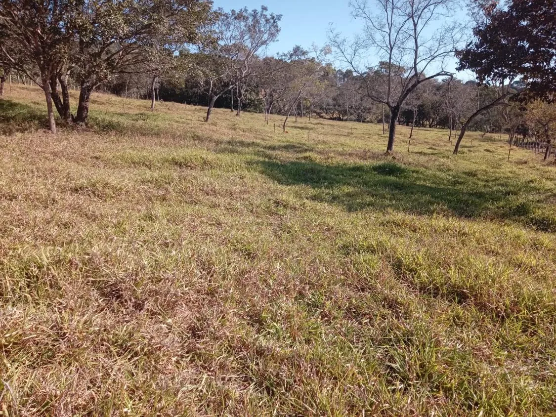 Imagem Vendo um excelente sítio na cidade de Piracema/Mg com 5 hectares de terra