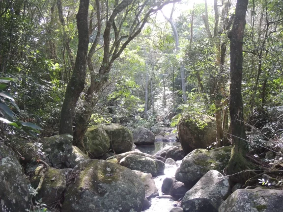 Imagem Terreno Espaçoso em Macacu, Garopaba-SC: 20 mil m², Vista para Lagoa e Mar