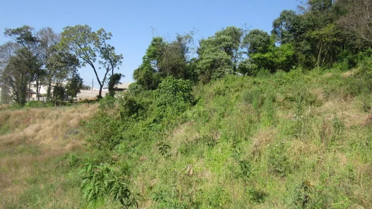Imagem Terreno para Venda em Concórdia, Primavera