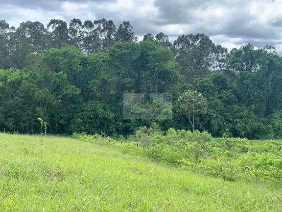 Imagem TERRENO PILAR DO SUL