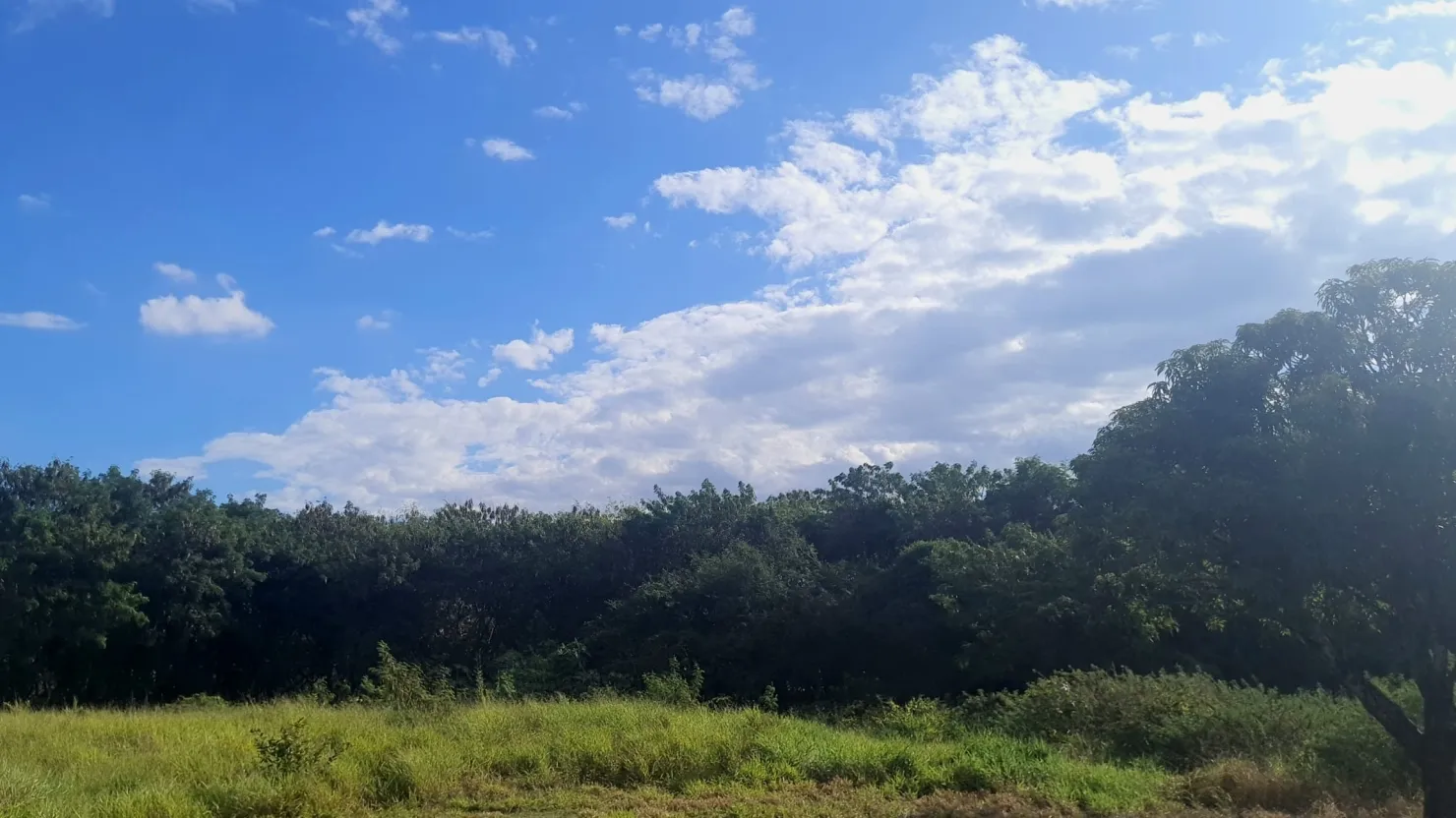 Foto do imóvel Terreno à venda 8500M², Jardim Mourisco, Taubaté - SP