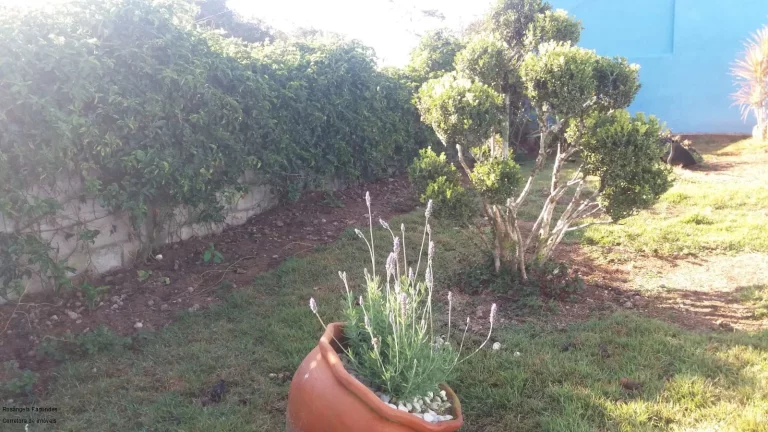 Imagem CHACARA RURAL em CALDAS - MG, LARANJEIRAS