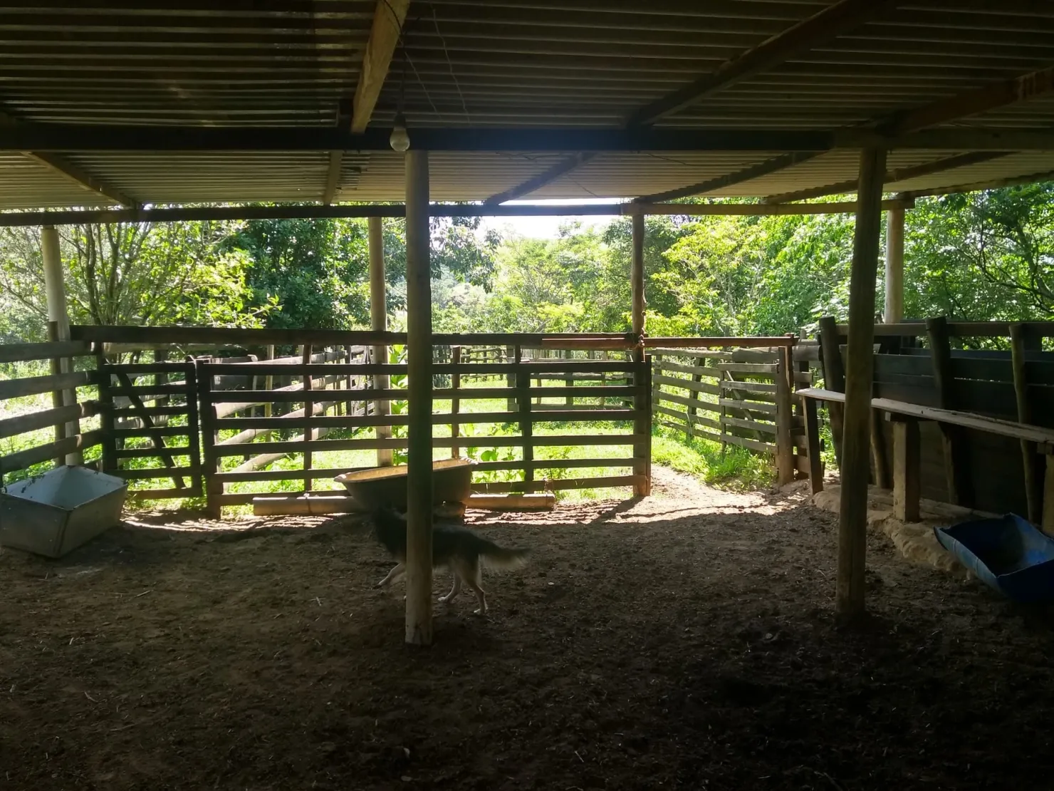 Foto do imóvel Chácara à venda 2 Quartos, 2 Vagas, 300000M², Água Preta, Pindamonhangaba - SP
