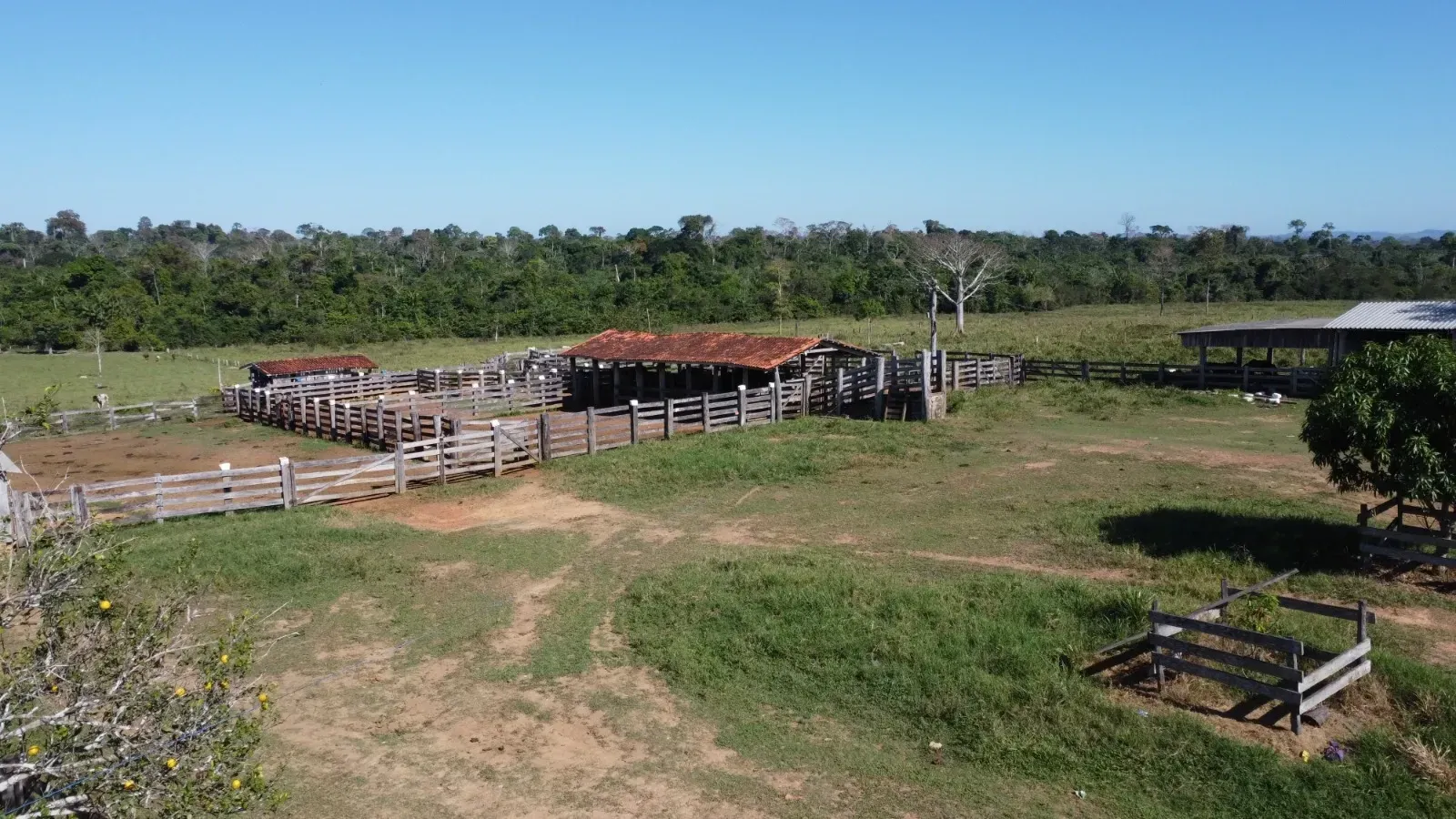 Imagem Fazenda à Venda, 484 HA em São Félix do Xingu - São Félix do Xingu