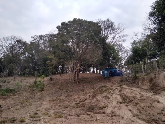 Imagem CHACARA RURAL em CALDAS - MG, LARANJEIRAS