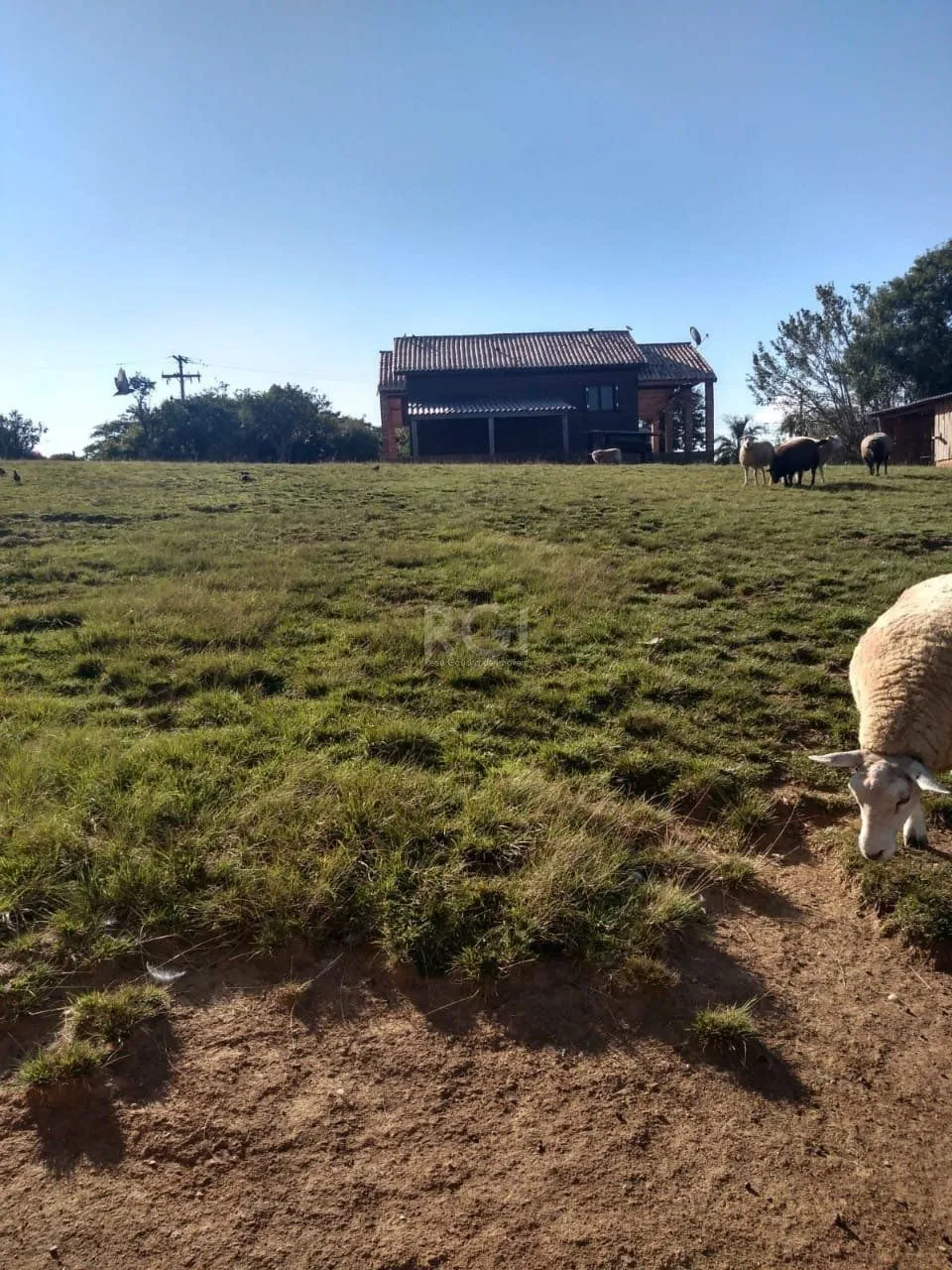 Imagem Sítio para Venda - 500m², 2 dormitórios, Krahe