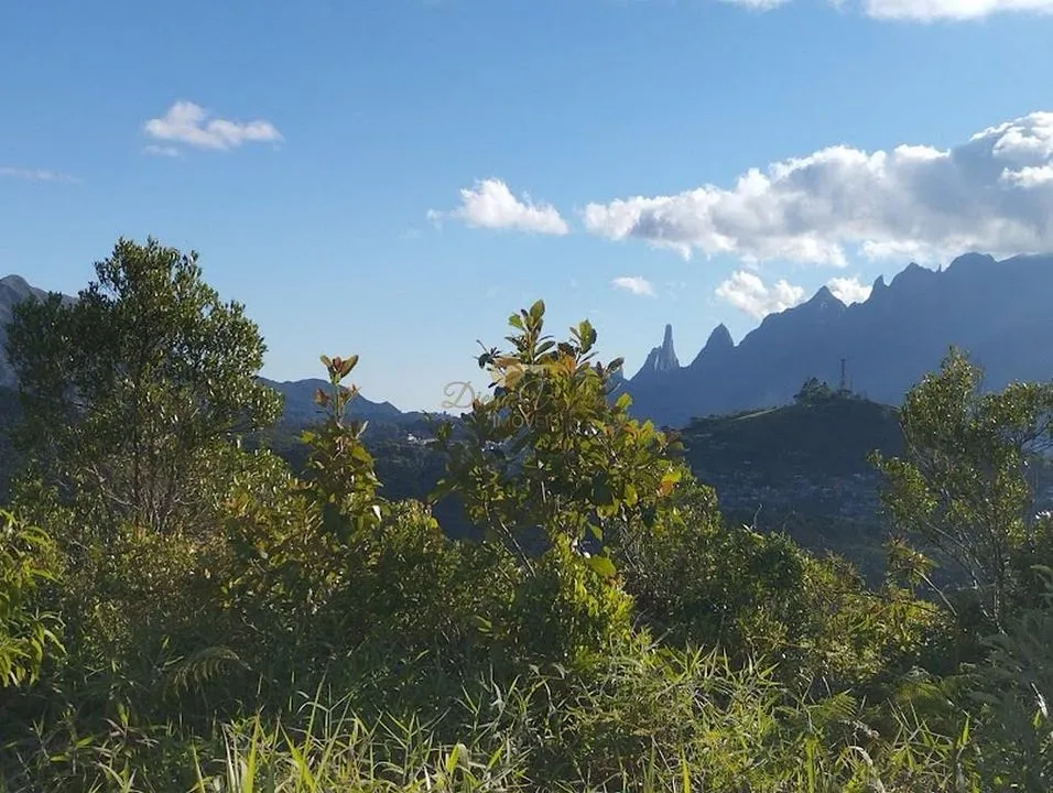 Imagem Terreno em Condomínio para Venda em Teresópolis / RJ no bairro Albuquerque