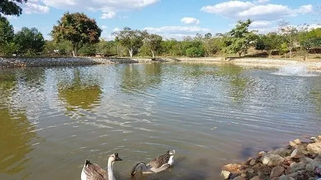Imagem Casa à venda 3 Quartos, 2 Suites, Fazenda Itapecerica, Taubaté - SP | Quinta das Palmeiras