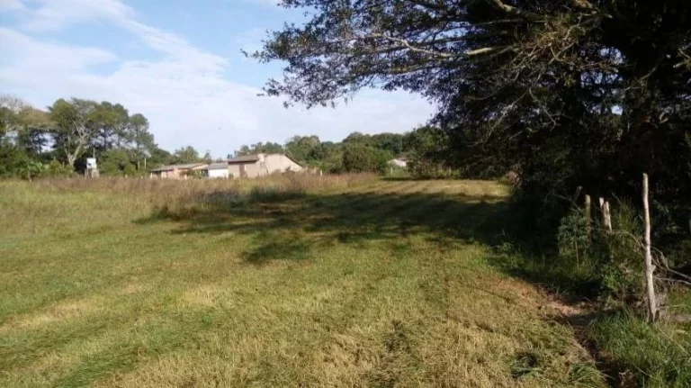 Imagem Sitio com 5.536m², mata nativa, Lagoa nos fundos, Águas Claras/ Viamão