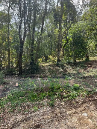 Imagem Área Rural em Colombo - 44 mil metros - R$750 mil