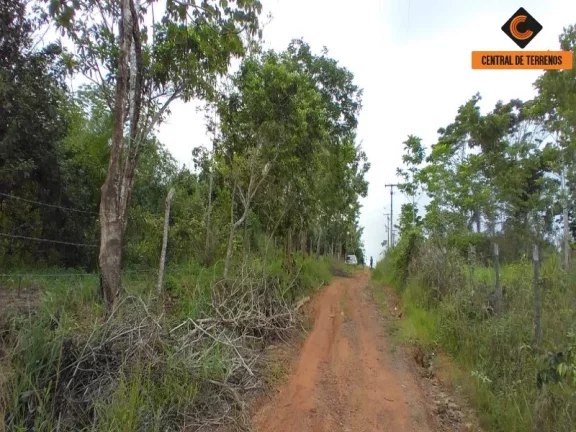 Imagem TERRENO NA VIA PARAFUSO