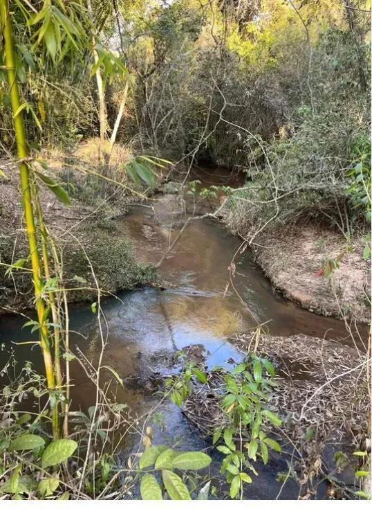 Imagem Vendo um ótimo sítio na região de Bom Despacho , com 18.600 m² de terra