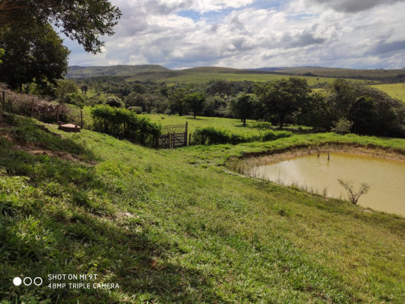Imagem Fazenda à Venda, 400.000m² em Girassol - Cocalzinho de Goiás
