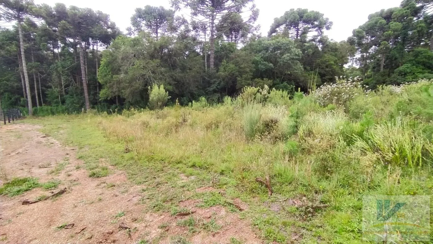 Imagem Terreno para Venda em São José dos Pinhais, Contenda