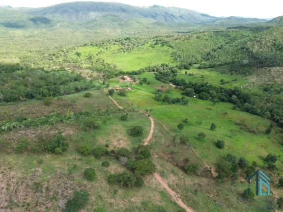 Imagem Fazenda localizada em Minaçu - GO a 70km da cidade de Goiânia - GO, com fácil acesso de carro.
