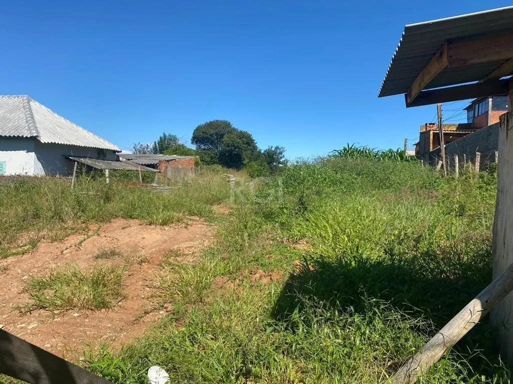 Imagem Terreno para Venda - 1205m², 0 dormitórios, Nonoai