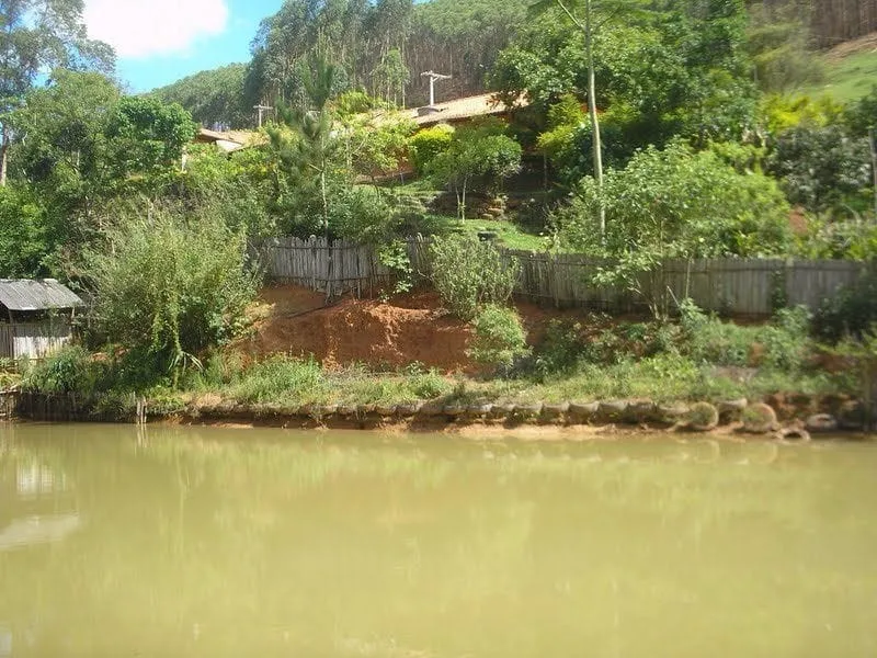 Imagem Chácara à venda 4 Quartos, Zona Rural, Cunha - SP
