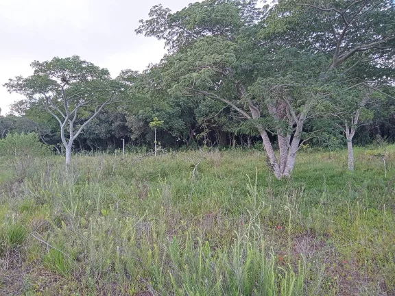 Imagem INVESTIDORES !!! - Excelente área de 2 Hectares, em Águas Claras, Viamão