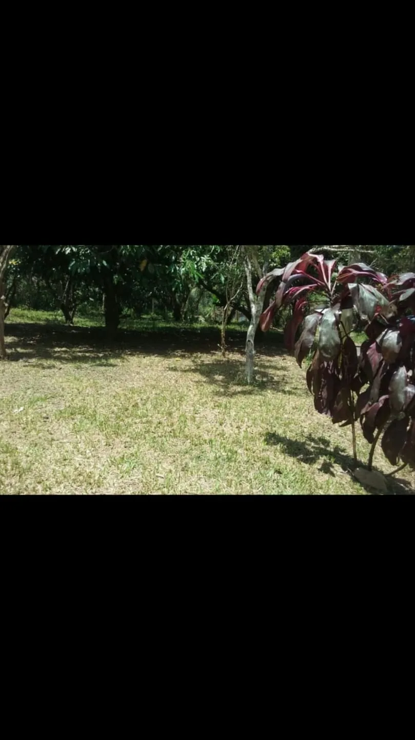 Foto do imóvel Chácara à venda 2 Quartos, 4 Vagas, 20000M², Ribeirão Grande, Pindamonhangaba - SP