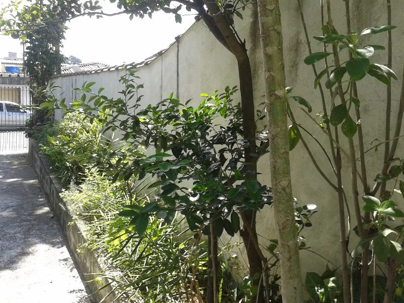 Imagem Sobrado à venda com 3 dormitórios em São Paulo Sp