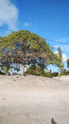 Imagem Granja para Venda em Rio do Fogo, Água Verde