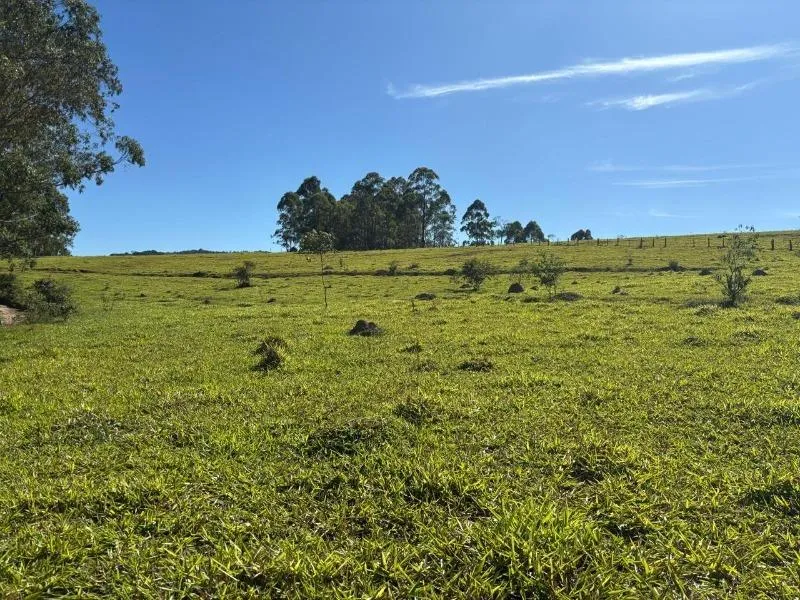 Imagem FAZENDA À VENDA - DESTERRO DE ENTRE RIOS (MG) 51 hectares de área total