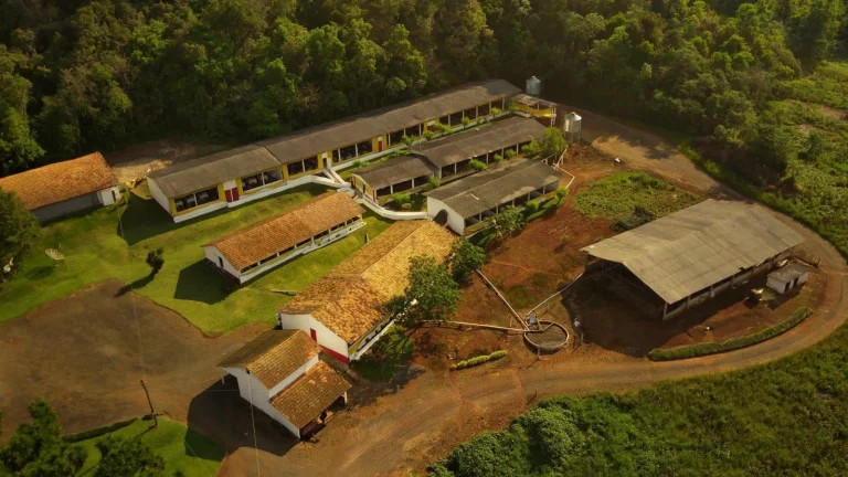 Imagem Granja para Venda em Concórdia, Rural