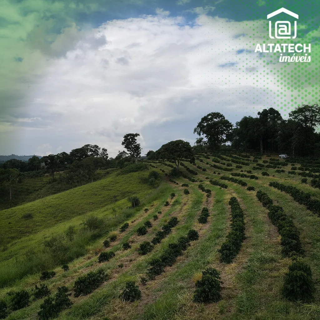 Imagem Fazenda 0 ha à venda em Roseira, Bandeira do Sul