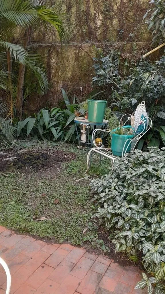 Imagem Terreno para Comprar na Santa Cecília no bairro Rio Branco.