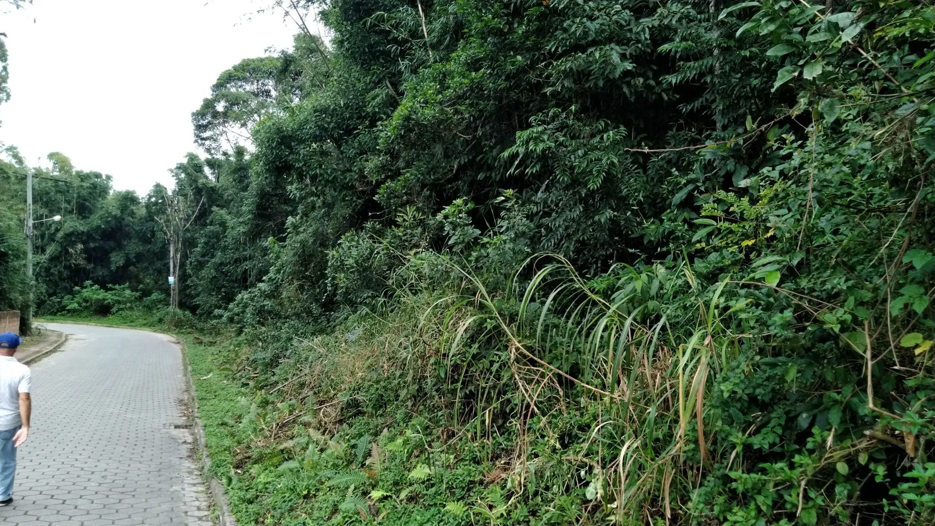 Imagem Sítio à venda com , 26.000m² em Tijuquinhas (Guaporanga) Biguaçu