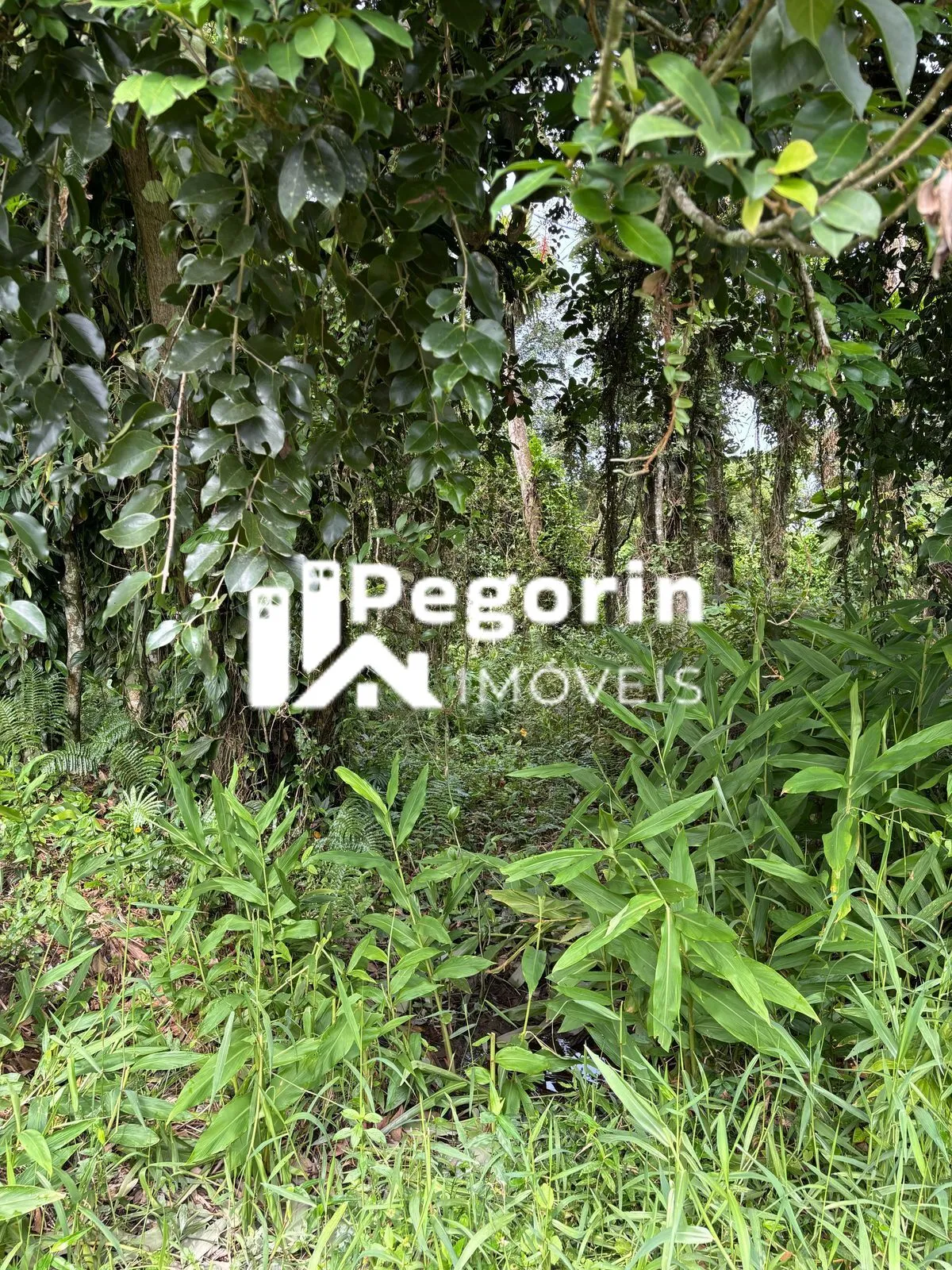 Imagem Terreno em Balneário Brandalize, Itapoá/SC