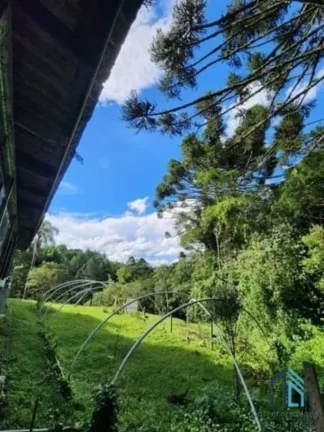 Imagem (PERMUTA) Chácara a venda documentada com 51.000 mil metros e pronta para morar em São José dos Pinhais PR
